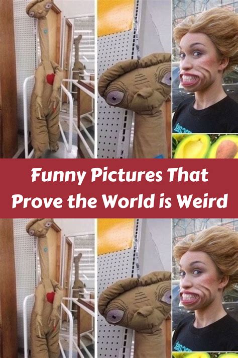 Funny Pictures That Prove the World is Weird in 2023 | Funny pictures, Black friday funny, Funny