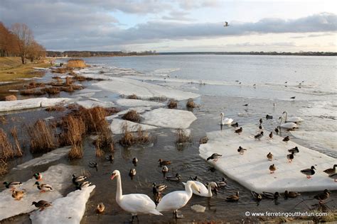 50 Incredible Photos of Riga in Winter