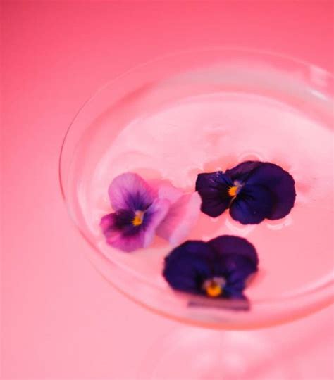 11 Edible Flowers for Cocktail Garnishes | Aleka's Get Together