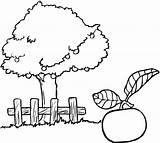 Apple tree coloring Page sketch template