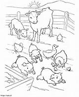 Barnyard 1 coloring Page sketch template