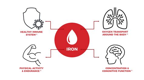 What is Iron Deficiency and Iron Deficiency Anaemia? - Ferrimed