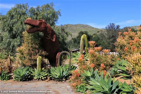 Aloe wonderland at Jurupa Mountains Discovery Center in Southern California