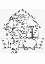 Coloring Pages  Farm Animal And Birds Page sketch template