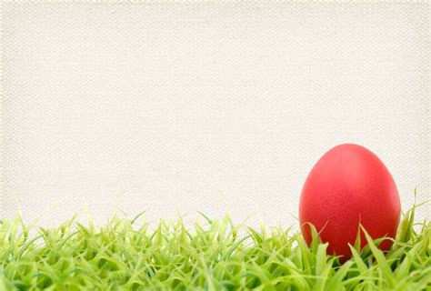 easter-egg-background - Homestead Gardens, Inc. | Homestead Gardens, Inc.