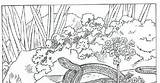 Garters Coloring Pages sketch template
