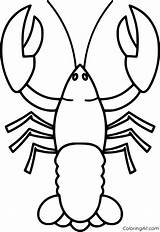 Pin On Invertebrates Coloring Pages sketch template
