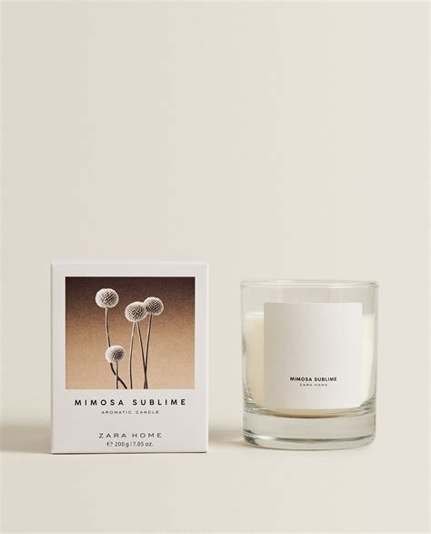 The 18 Best Zara Home Candles to Buy Now | Who What Wear