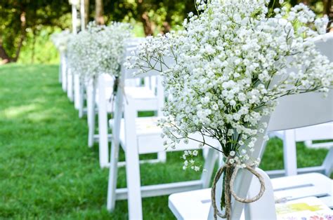 Baby's Breath: Tiny White Flowers That Steal The Show - Farmers ...