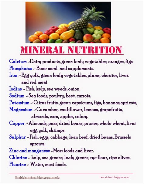 Minerals In Food List