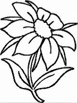 Flower Coloring Page Wecoloringpage 048  Wecoloringpagecom sketch template