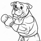 Boxer In Action Coloring Page 7321 5837 sketch template