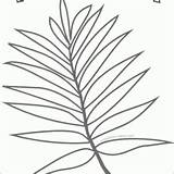 Palm Leaf Coloring Page Printable sketch template