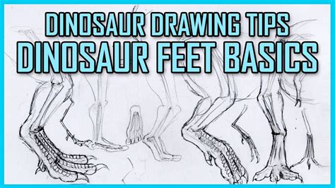 Dinosaur Feet Drawing Tutorial - Basic Principles of Dinosaur Feet and Legs - YouTube