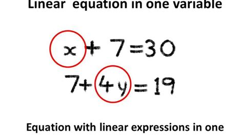 Maths - What is linear equation and solving linear equation with single ...