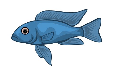 Fish Illustration Graphic by graphicrun123 · Creative Fabrica