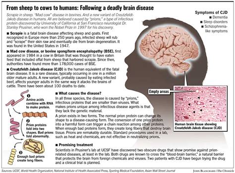 Malaria drug used to treat mad cow cases / Results so encouraging human ...