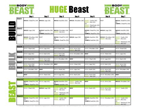 Body Beast Workout Schedule | Examples and Forms