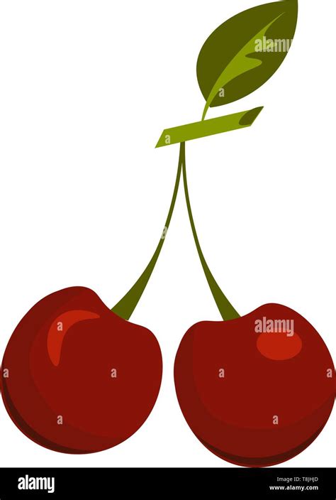 Two red cherry with a leaf, vector, color drawing or illustration Stock ...