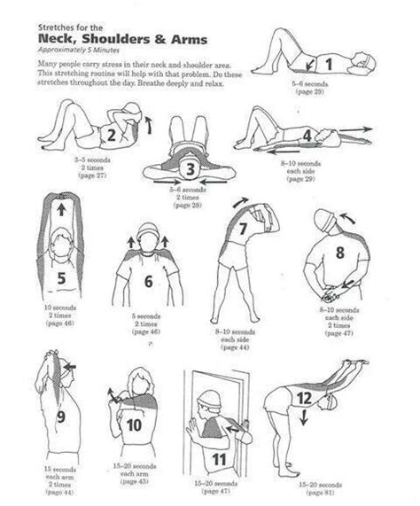 Stretching Exercises For Neck Shoulders And Back - Exercise Poster