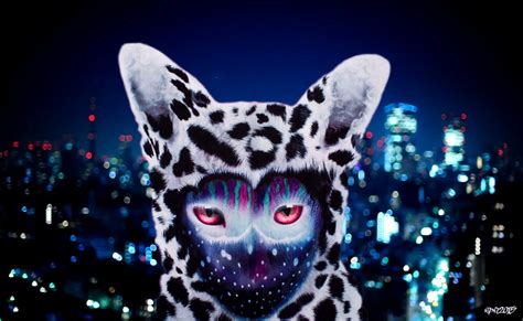 Galantis Sea Fox | Wallpaper, Music artists, Artist