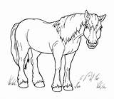 Draft Horse Coloring Pages Coloring sketch template