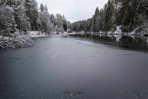 Winter in Estonia - Capture Estonia Nature and Photography Tours