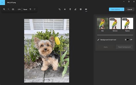 Microsoft Hadirkan Peningkatan di Aplikasi Photos – Background Edit, Filmstrip & Timeline ...