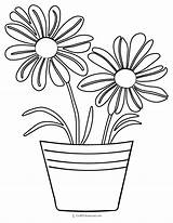 30 Flower Coloring Pages sketch template
