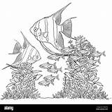 Aquarium Plants Coloring Pages sketch template