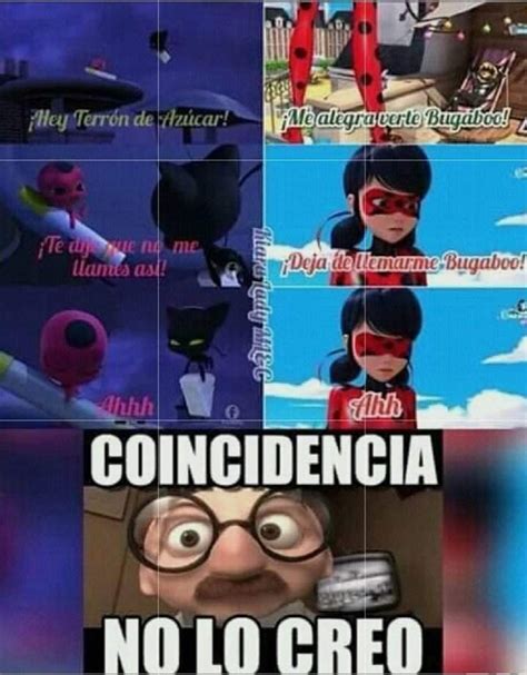 Memes miraculous | •Miraculous Ladybug Español• Amino