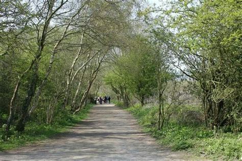 Highcliff Nab above Guisborough woods - Picture of Guisborough Forest, Guisborough - TripAdvisor