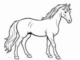 Tennessee Walking Horse Coloring Sheet For Download  Page sketch template