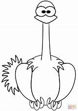 Cartoon Ostrich coloring Page  Free Printable Coloring Pages sketch template