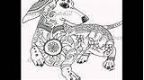 Art Of Dachshund  Coloring Book YouTube sketch template