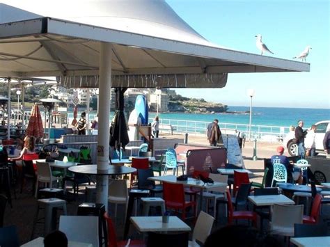 SURFISH BONDI SEAFOOD CAFE - Bondi Beach - Updated 2024 Restaurant Reviews, Photos & Phone ...