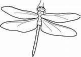 Coloring Dragonfly Cartoon Pages sketch template