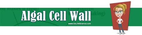 Algal Cell Wall: Structure, Composition, and Function