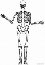 Printable Skeleton Coloring Pages For Kids  Cool2bKids sketch template