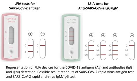 SARS-CoV-2 Antigen Rapid Test Kit (Colloidal Gold) | ubicaciondepersonas.cdmx.gob.mx