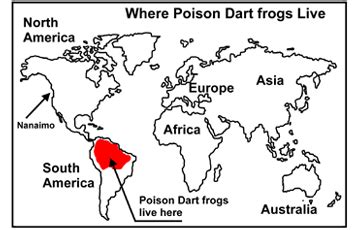 World-map where poison dart frogs live | Poison dart frogs, Poison dart ...