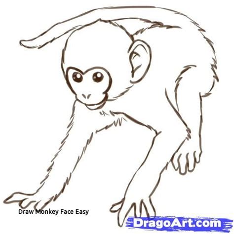 Easy Monkey Drawing Step By Step at PaintingValley.com | Explore ...