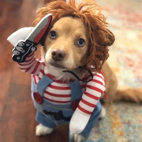 CHUCKY PET COSTUME Funny Pet Costume, Chucky Dog Costume, Pet Cosplay ...