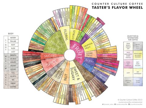 Coffee 101: Basic Flavor Profiles | Bespoke Post