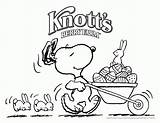Peanuts Characters Thanksgiving Coloring Pages  Home sketch template