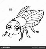 Flies Coloring Pages sketch template