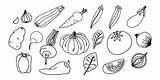 Fun And Educational Vegetable Coloring Pages For Kids sketch template