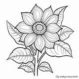 Beautiful Flower Coloring Pages  Infoupdateorg sketch template