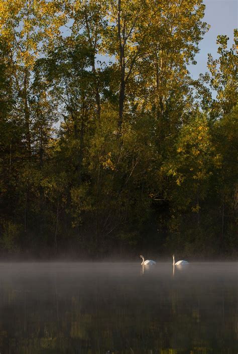 5 Nature Photography Editing Tips to Create Stunning Images in Seconds