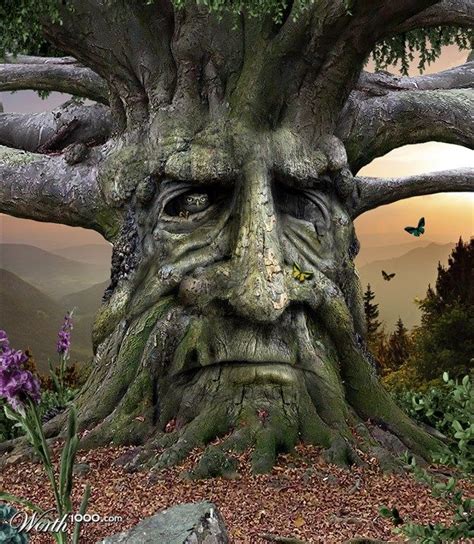 Canvas Earth 13 - Worth1000 Contests | Magical tree, Tree faces, Tree sculpture